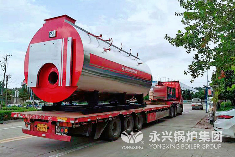 黄国粮业股份有限公司10吨一体式冷凝锅炉