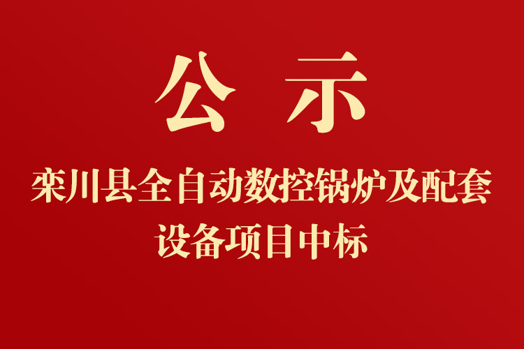 栾川一高新校区全自动数控锅炉及配套设备